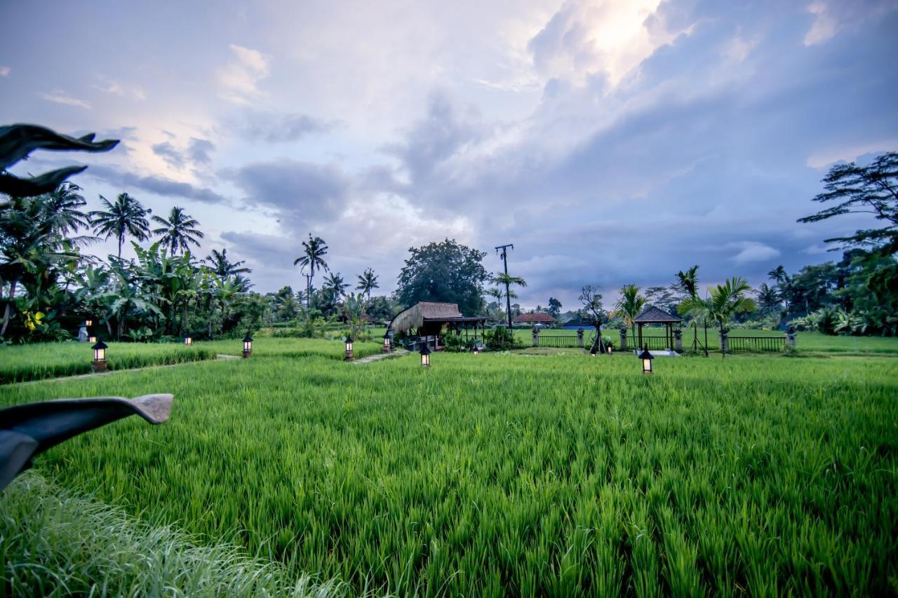 Anumana Village Ubud Exteriör bild
