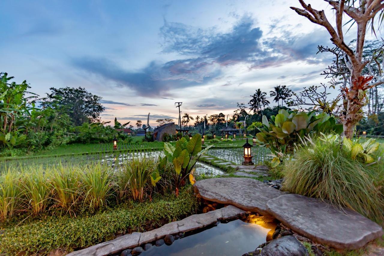 Anumana Village Ubud Exteriör bild