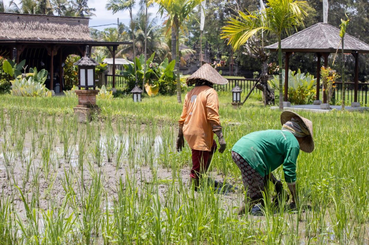 Anumana Village Ubud Exteriör bild
